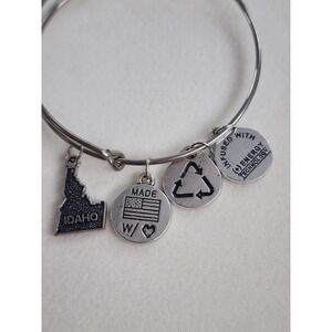 Vtg ALEX & ANI Idaho‎ Made In USA ❤️🤍💙 Bangle Bracelet Stainless Steel